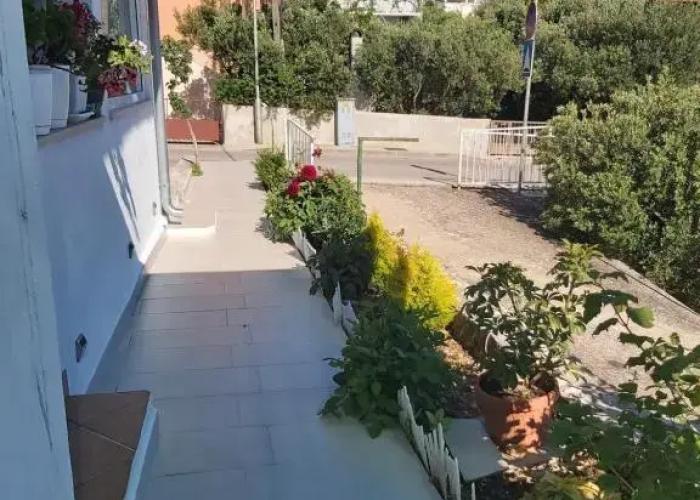 Apartments Teo