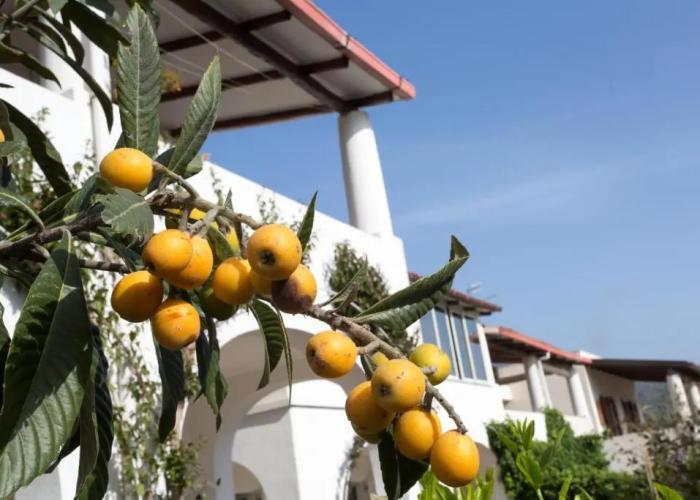 Residence Mendolita