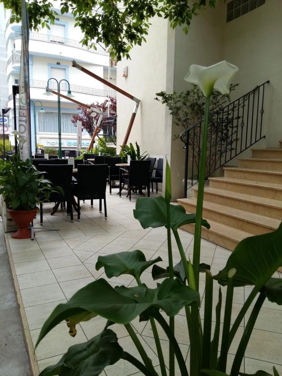 фото Hotel Romagna