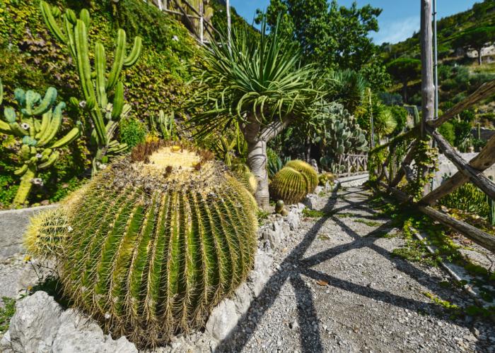 Botanico San Lazzaro Hotel
