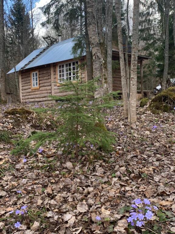 Izba Ryibaka Hutor Kamenjuk Bungalow