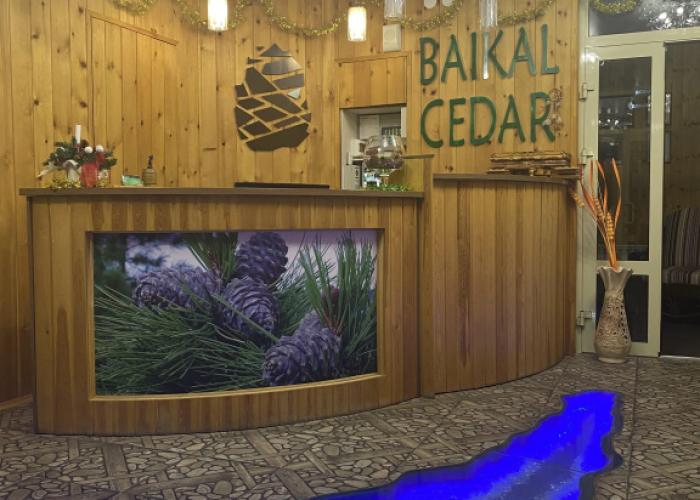 Baikal Cedar