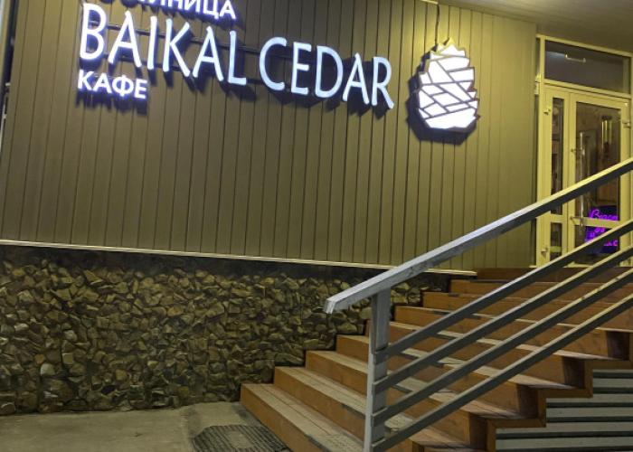 Baikal Cedar