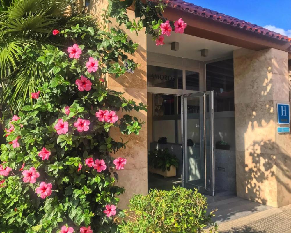 фото Hotel Amoros