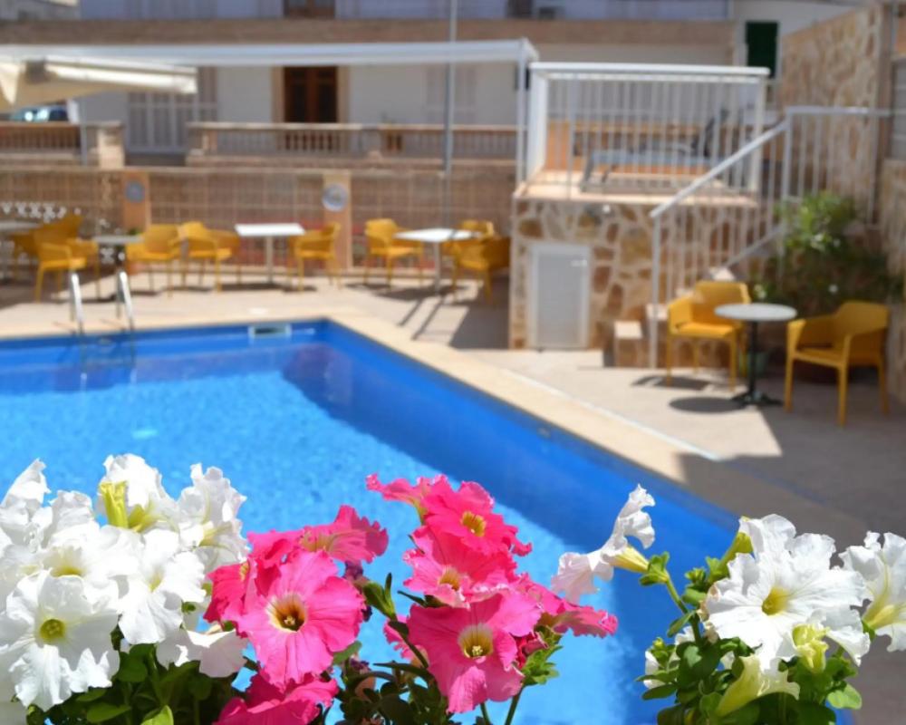 фото Hotel Vista Sol
