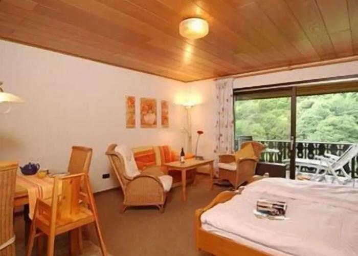 Hotel Garni Belvedere, das BIO Hotel & SuiteHotel am Ederse