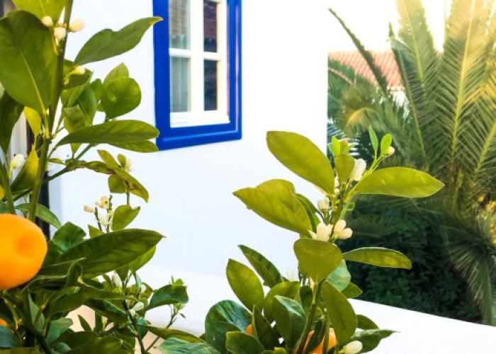 Armata Boutique Hotel