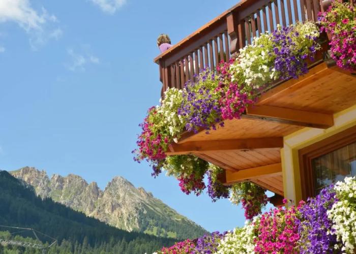 Hotel Alle Alpi