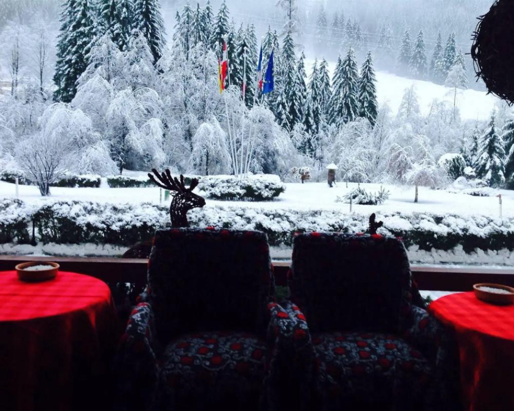фото Hotel Foresta