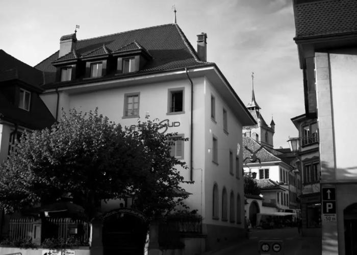 Hotel Le Rive Sud