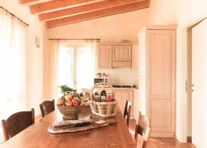 Podere l'Agave