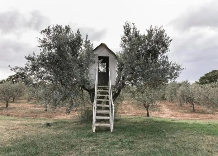 Podere l'Agave