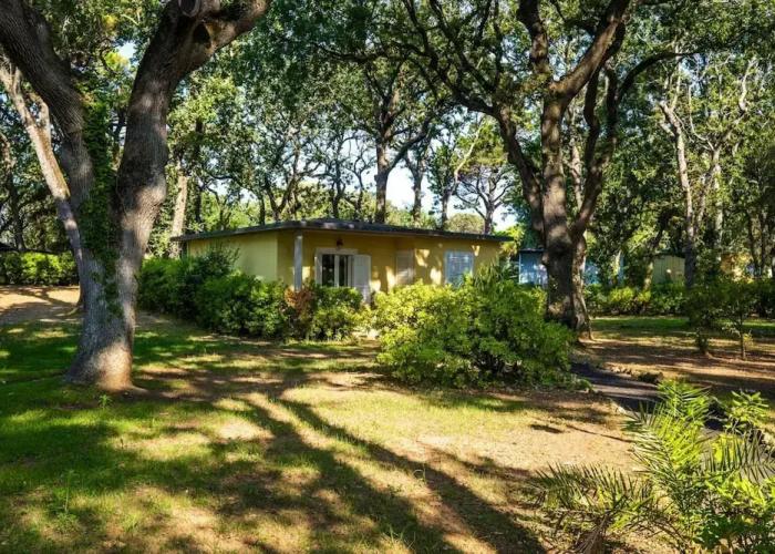 Bungalow in San Vincenzo With Pool