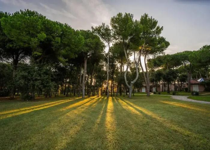 Bungalow in San Vincenzo With Paid Sauna-formerly TUI Ferienhaus