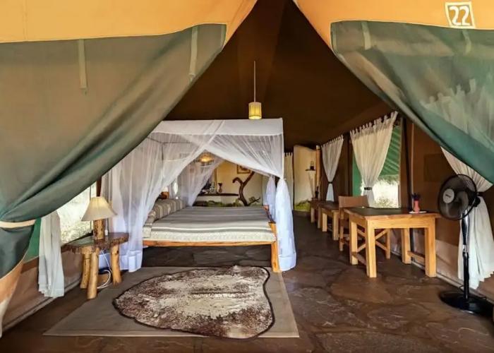 Kibo Safari Camp