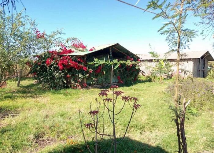 WE4Kenya Guesthouses and Farm