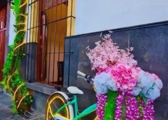 Hotel Boutique Pedregal