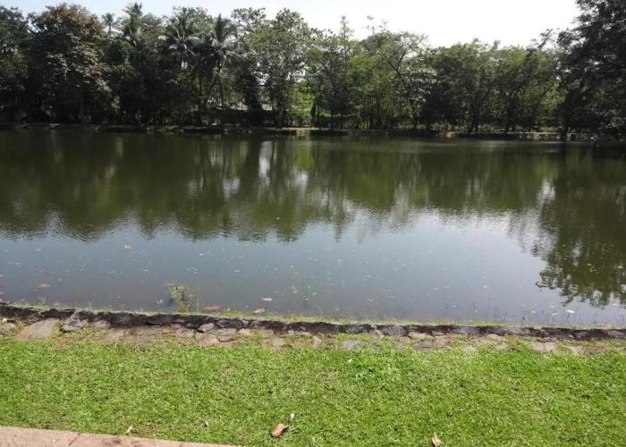 Taj Kumarakom Resort & Spa, Kerala