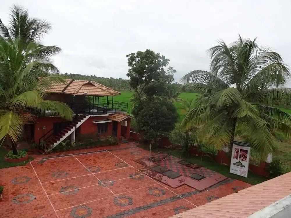 фото Green Fields