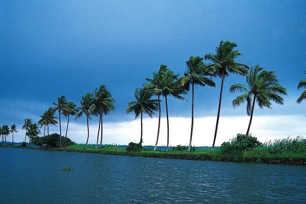 фото Green Fields