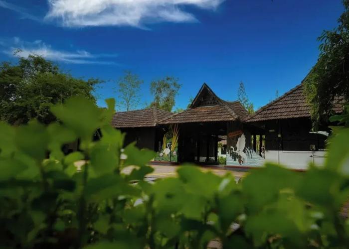 Paradise Resorts