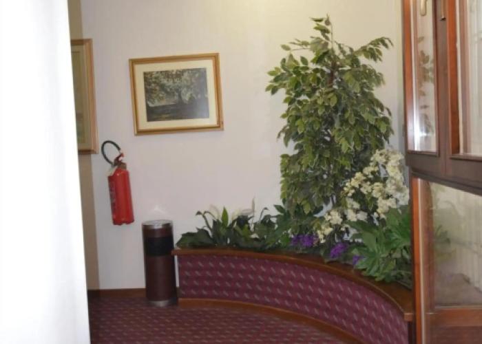 Hotel Magnolia