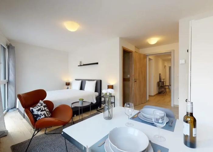 Furnished Apartment - Swiss Resort Aigle