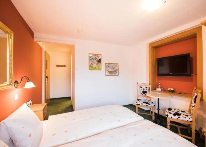 Hotel Brienzerburli
