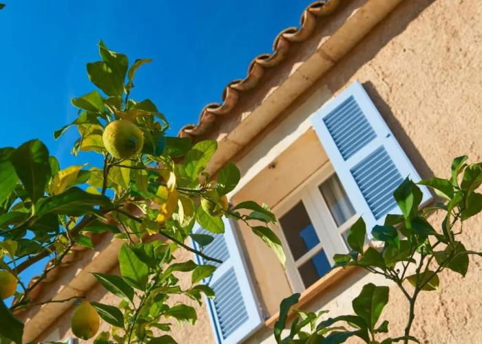 Residencia Restaurant Son Floriana