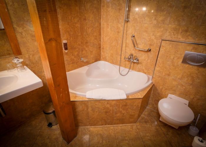 LH Hotel Dvorak Tabor