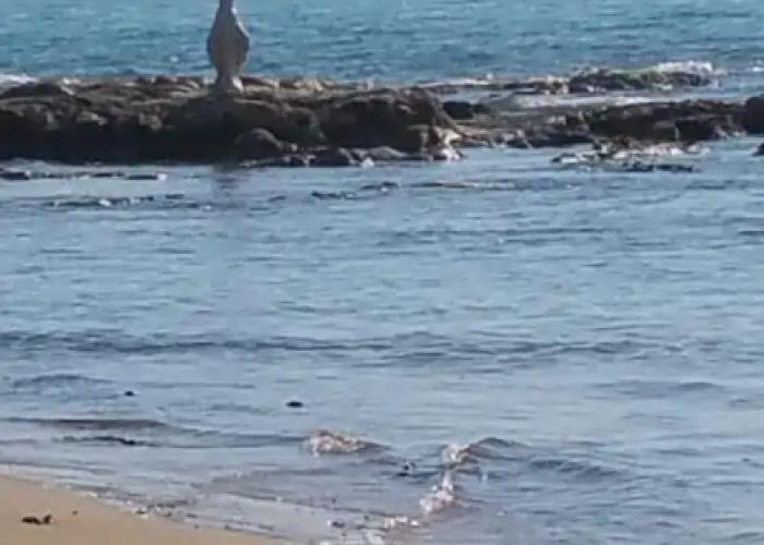 Sole Mare E Relax per Vacanze