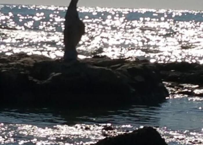 Sole Mare E Relax per Vacanze