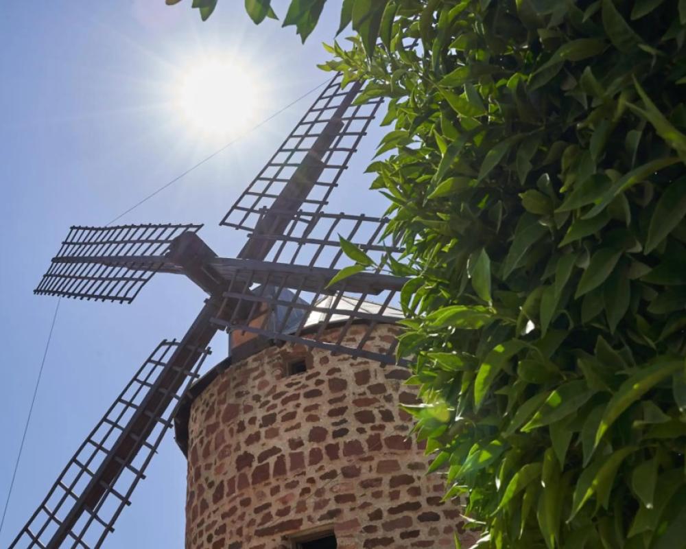 Hotel Palacio Guzmanes