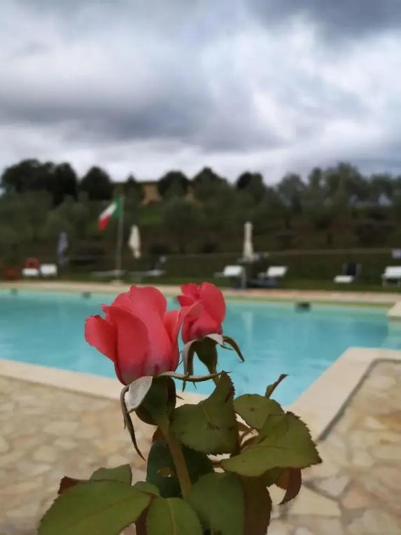фото Locanda Vesuna