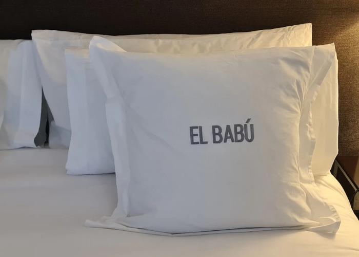 Hotel El Babú