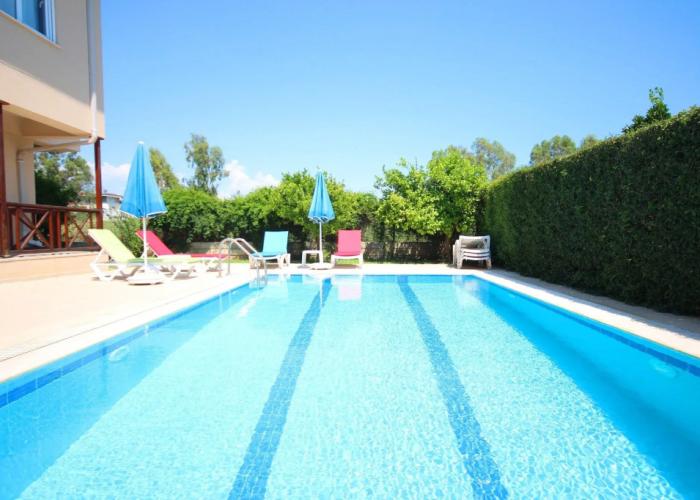 Paradise Town Villa Orchard