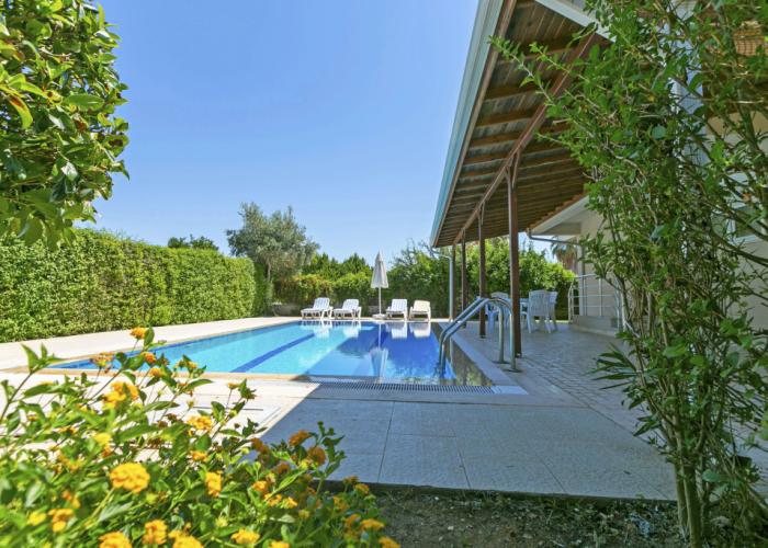 Paradise Town Hazel Villa