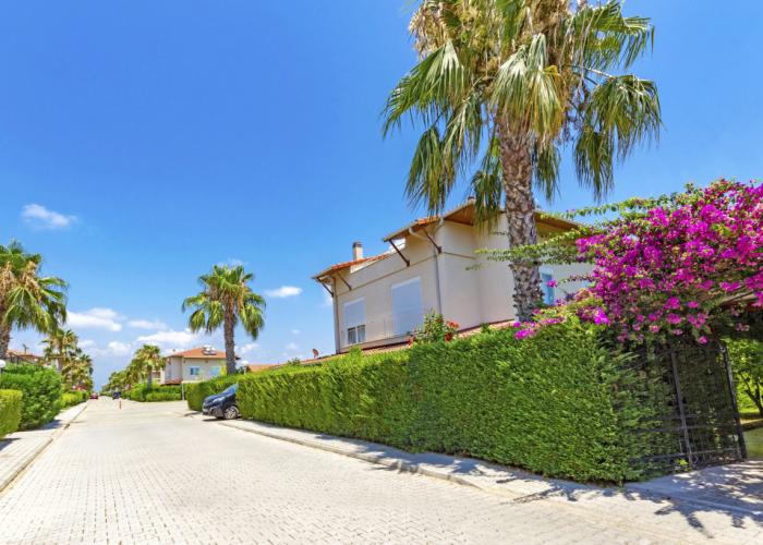 Paradise Town Hazel Villa