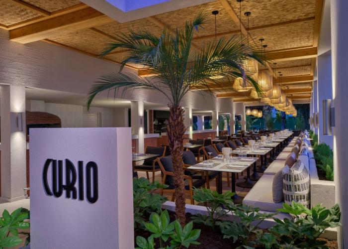 Paloma Grida - All Inclusive