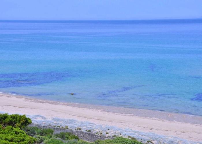 Appartamenti in Gallura