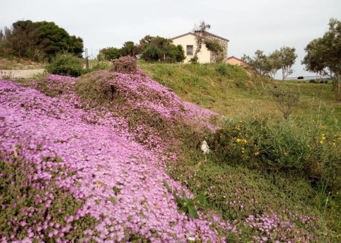 Tenuta Petra Bianca