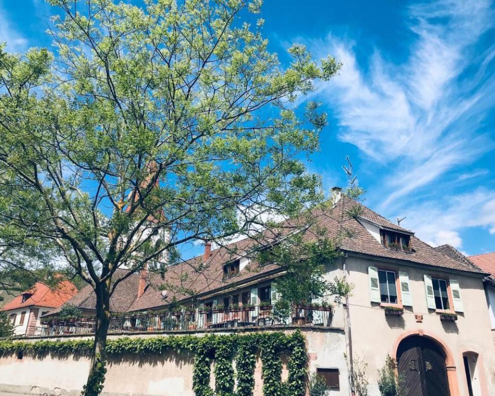 Aux Deux Cigognes Ammerschwihr