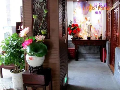 фото Lotus Inn
