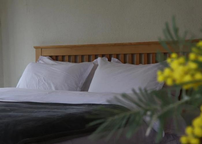 Dali Shaxi Moss Inn