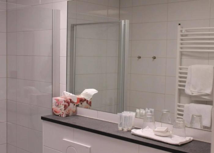 RheinHotel Arte