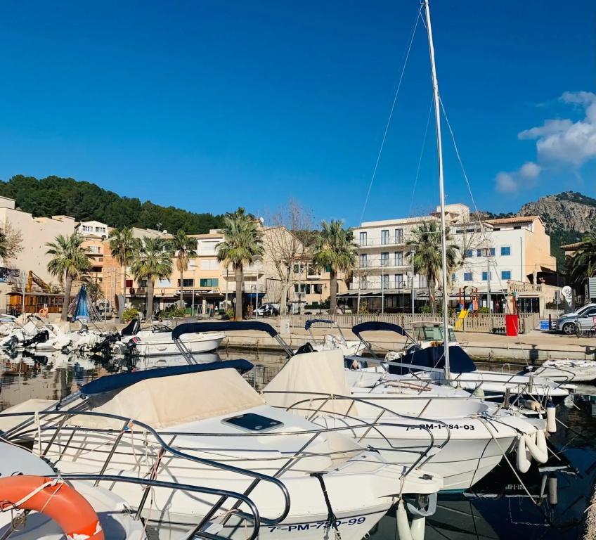 фото Miramar Hotel Soller