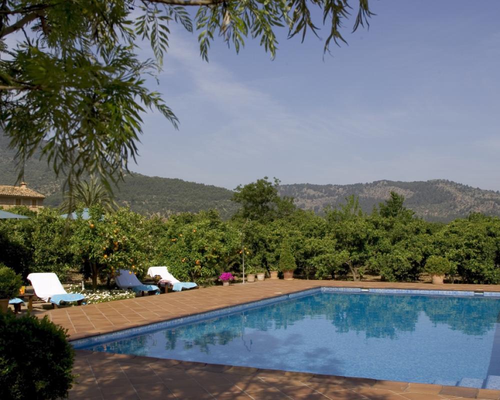 фото Finca Ca´s Curial
