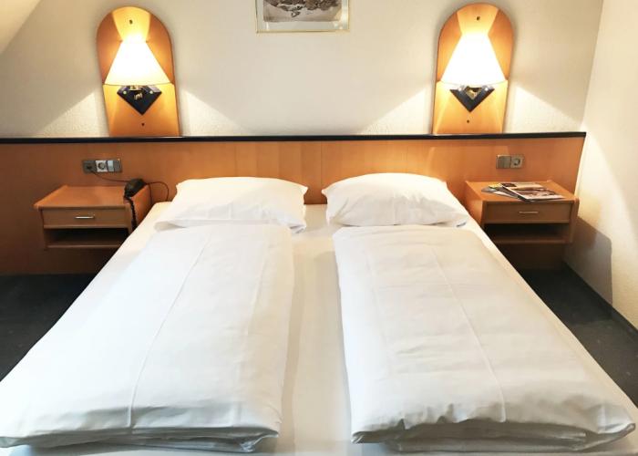 Hotel Am Park