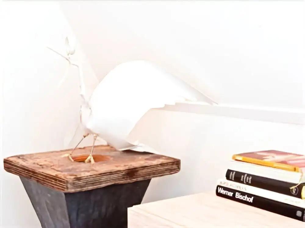 фото Logement Overzee