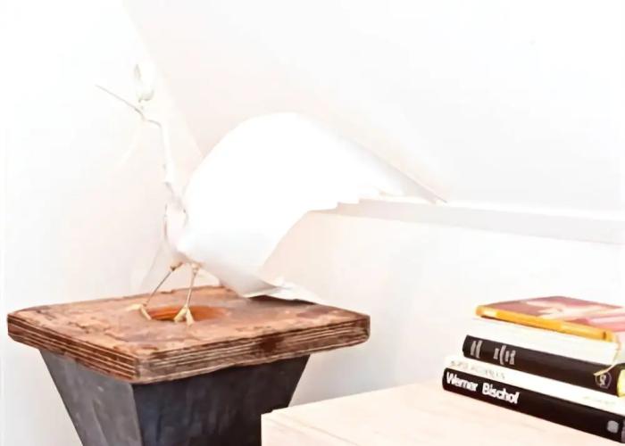 Logement Overzee